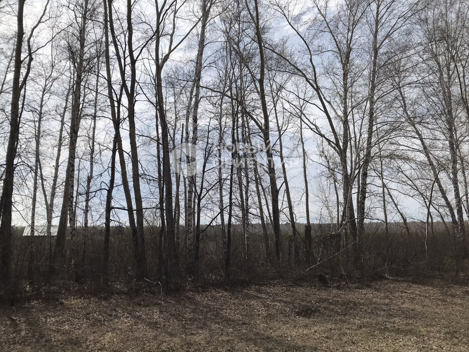 с. Большебрусянское (городской округ Белоярский) - фото земельного участка (5)