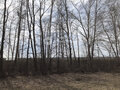 Продажа земельного участка: с. Большебрусянское (городской округ Белоярский) - Фото 5