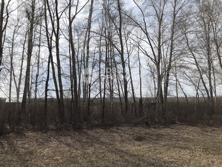 с. Большебрусянское (городской округ Белоярский) - фото земельного участка (6)