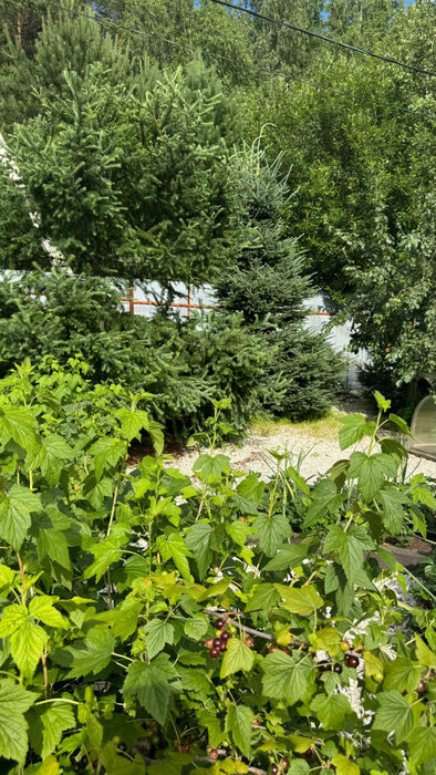 п. Растущий, ул. Снегири, 3 (городской округ Белоярский) - фото таунхауса (7)