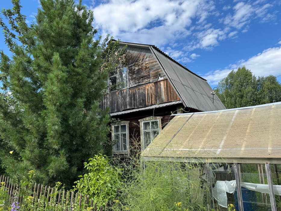 п. Сагра, Сагра 6 (городской округ Верхняя Пышма) - фото сада (2)
