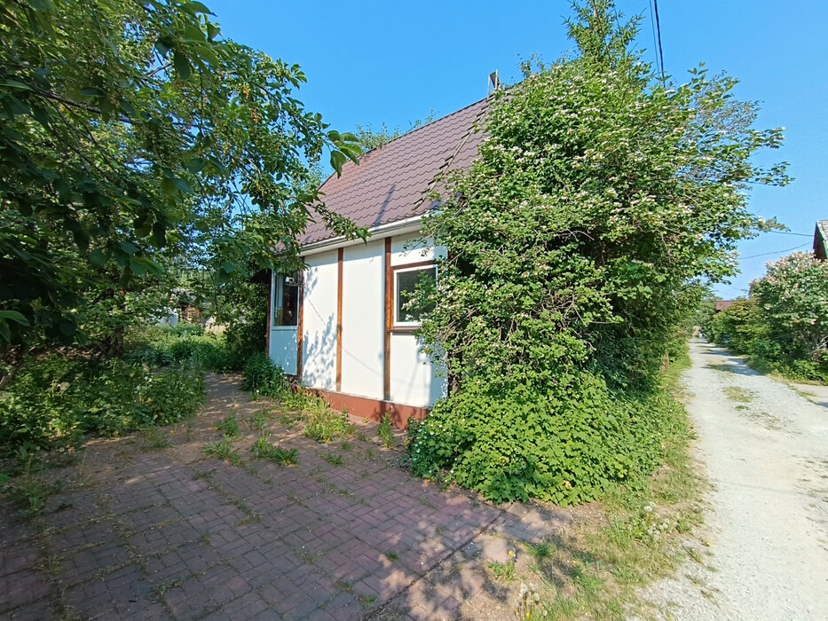 Екатеринбург, к/с Шинник, уч. 1 Зеленый Бор, 52 (Елизавет) - фото сада (2)