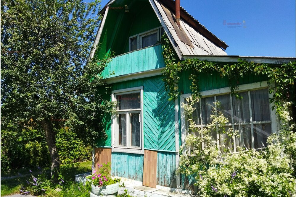 Екатеринбург, Дружба , уч. 119 (Химмаш) - фото сада (2)
