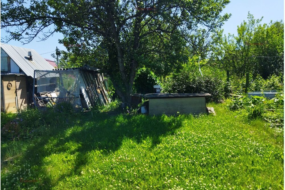Екатеринбург, Дружба , уч. 119 (Химмаш) - фото сада (6)
