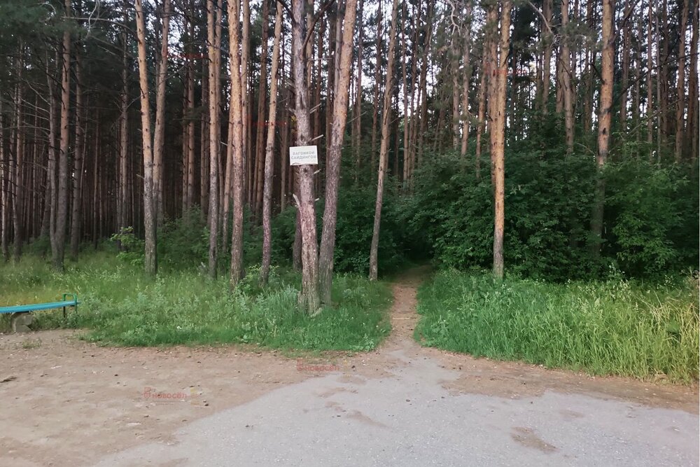 г. Арамиль, СНТ Монтажник (городской округ Арамильский) - фото сада (8)
