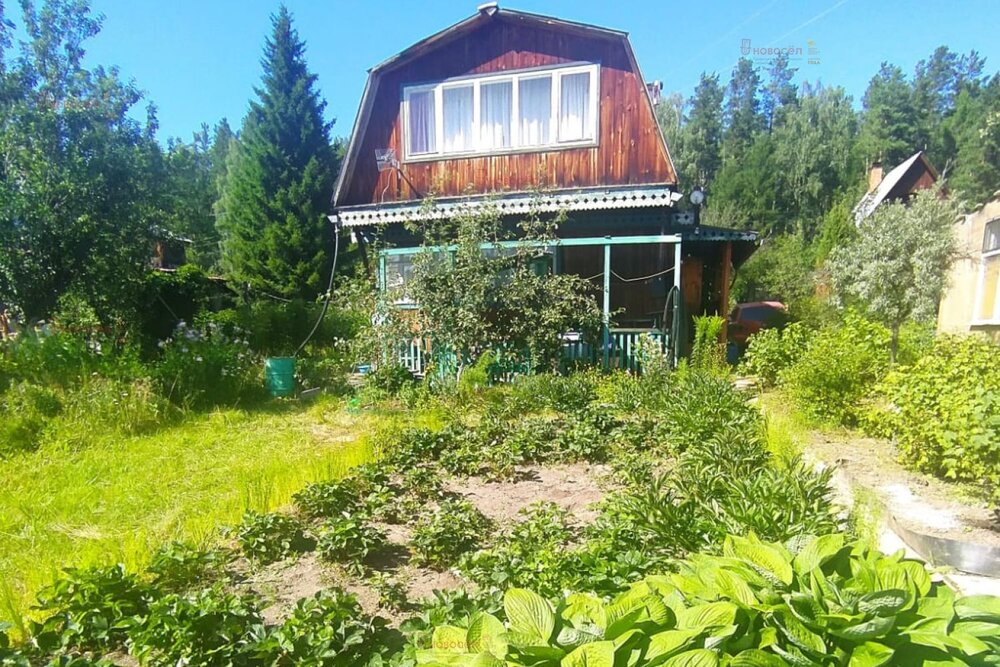 п. Сагра, к/с Рябинка (городской округ Верхняя Пышма) - фото сада (3)