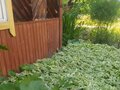 Продажа садового участка: п. Сагра, к/с Рябинка (городской округ Верхняя Пышма) - Фото 4