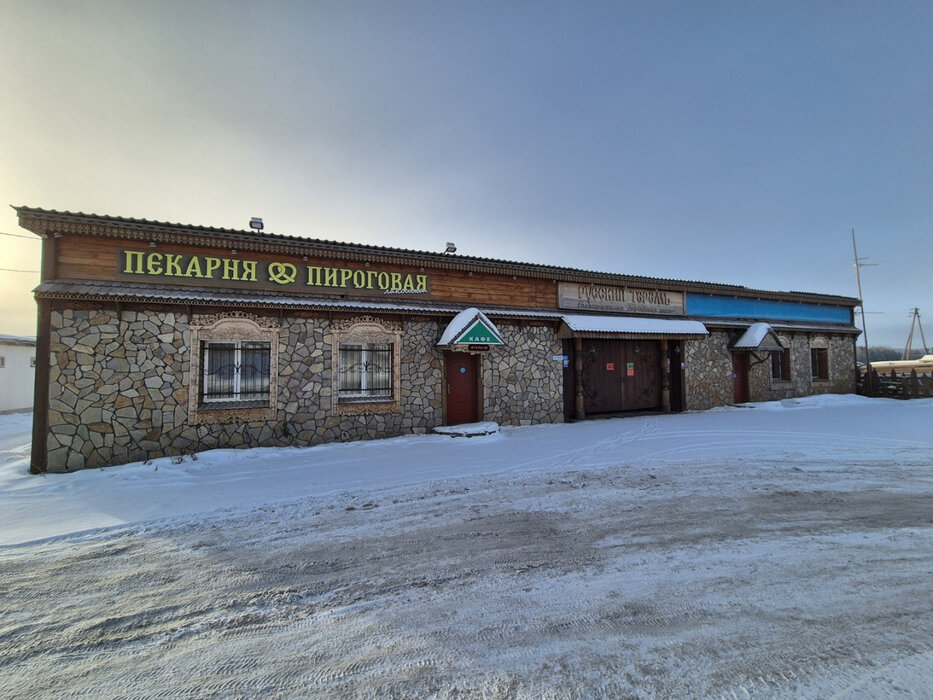 с. Малобрусянское, ул. Ленина (городской округ Белоярский) - фото земельного участка (4)