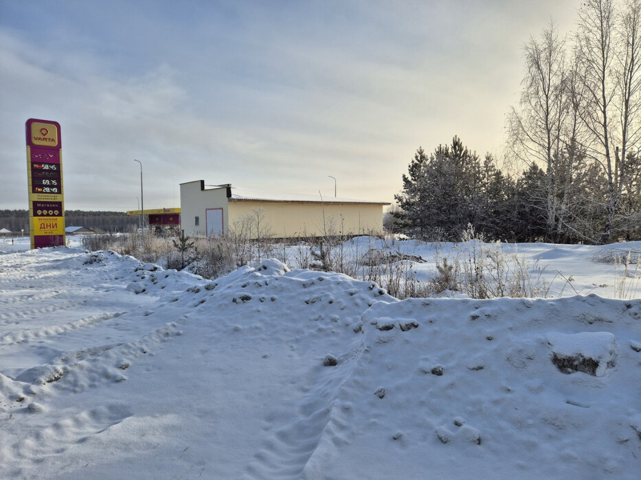 с. Малобрусянское (городской округ Белоярский) - фото земельного участка (3)