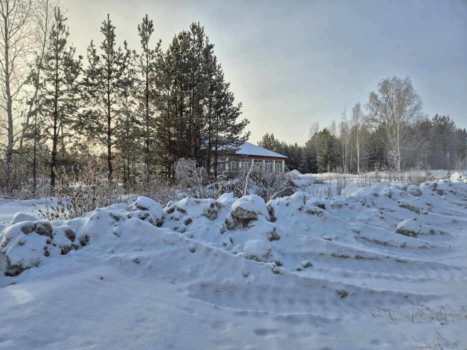 с. Малобрусянское (городской округ Белоярский) - фото земельного участка (4)