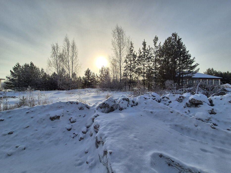 с. Малобрусянское (городской округ Белоярский) - фото земельного участка (5)