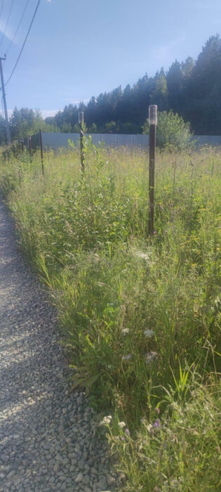 с. Кашино, ул. СТ Автомобилист-2 (городской округ Сысертский) - фото земельного участка (5)