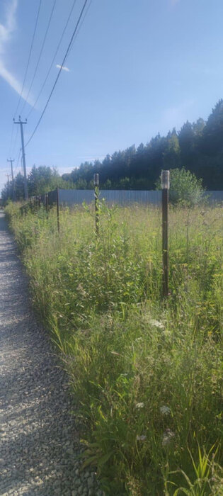 с. Кашино, ул. СТ Автомобилист-2 (городской округ Сысертский) - фото земельного участка (6)