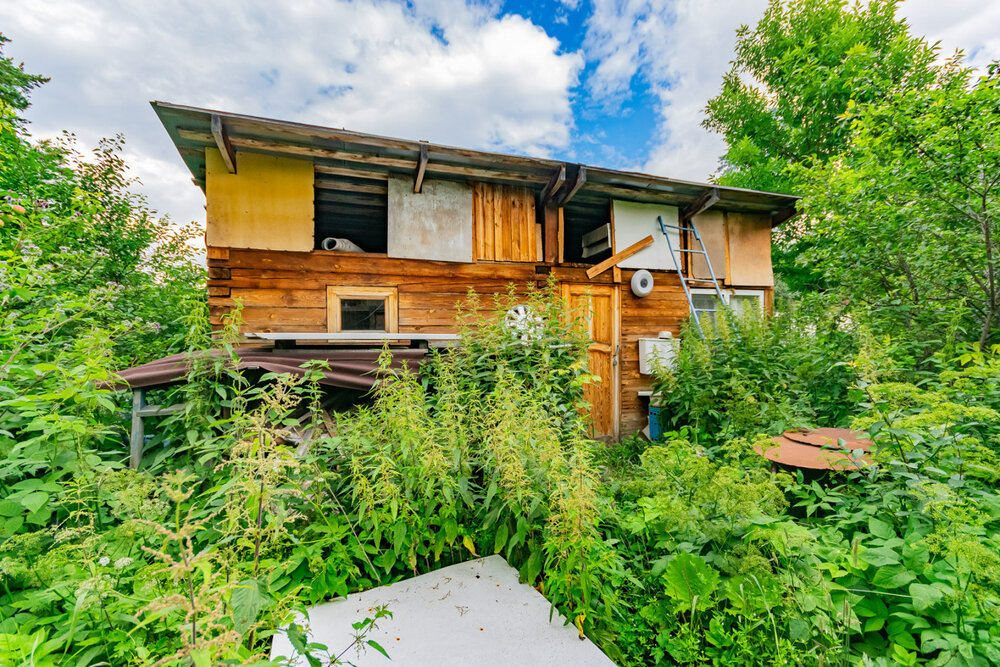 Екатеринбург, СНТ Шувакишский - фото сада (3)