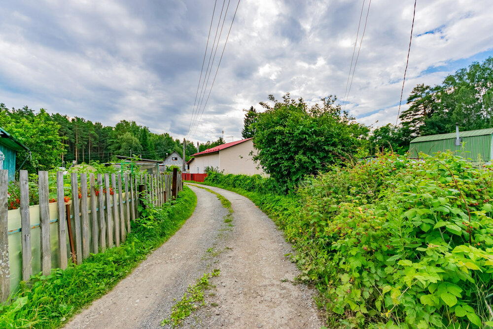 Екатеринбург, СНТ Шувакишский - фото сада (6)