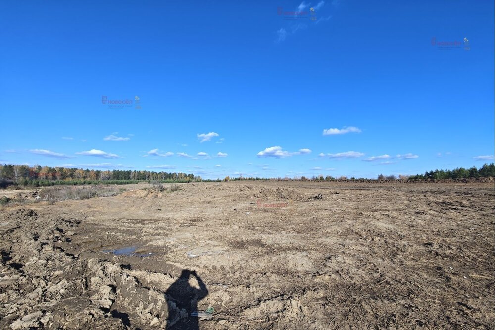 Екатеринбург, ул. Арамильский тракт, 4 км - фото земельного участка (8)