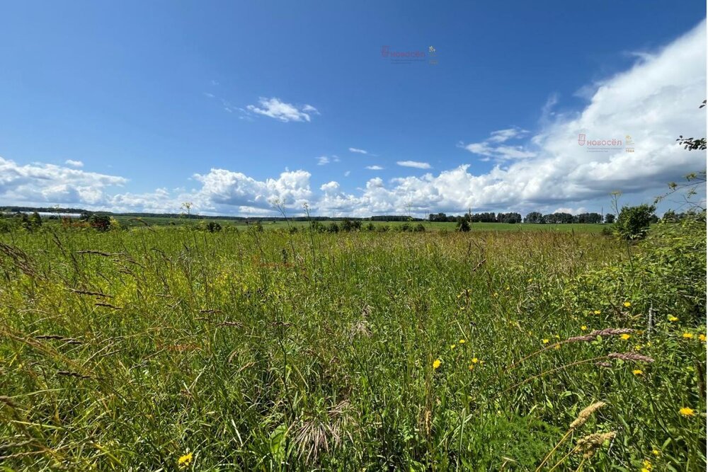 с. Ключики, ул. Трактовая, 33 (городской округ Каменский) - фото земельного участка (3)