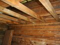 Продажа садового участка: п. Крутой, СНТ Калининец-6, уч. 66 (городской округ Верхняя Пышма) - Фото 5