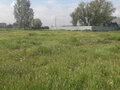 Продажа земельного участка: Екатеринбург, ул. Животноводов (Полеводство) - Фото 3