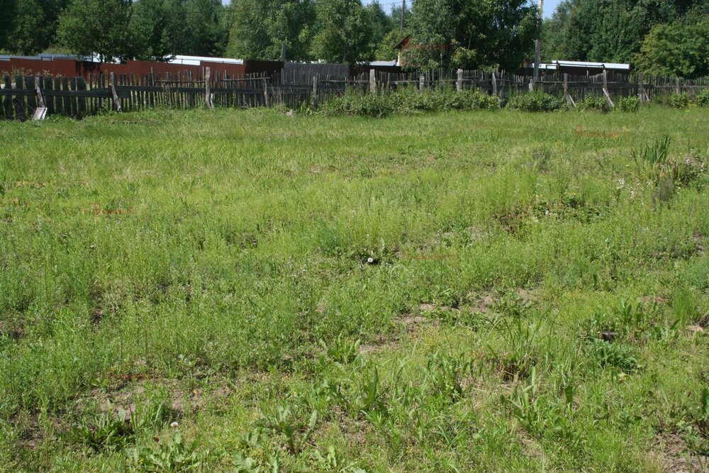 п. Красногвардейский (г.о. Артемовский), ул. Луговая, 13 (городской округ Артемовский) - фото земельного участка (3)
