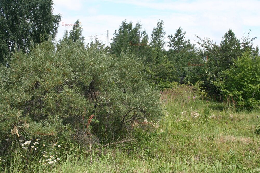 п. Красногвардейский (г.о. Артемовский), ул. Луговая, 13 (городской округ Артемовский) - фото земельного участка (4)