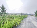 Продажа земельного участка: ДНП «Аэродром» (Екатеринбург, с. Горный щит) - Фото 4