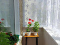 Продажа квартиры: Екатеринбург, ул. Мичурина, 10а - Фото 4