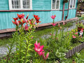 Продажа садового участка: д. Старые Решёты, Вечерняя заря, уч. 19 (городской округ Первоуральск) - Фото 3