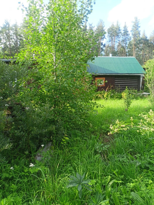 п. Решеты, снт. Мирный (городской округ Первоуральск) - фото сада (1)