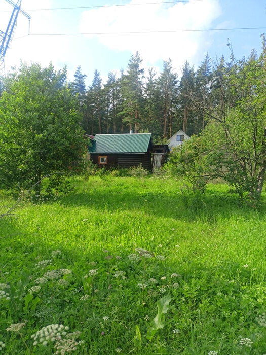 п. Решеты, снт. Мирный (городской округ Первоуральск) - фото сада (2)