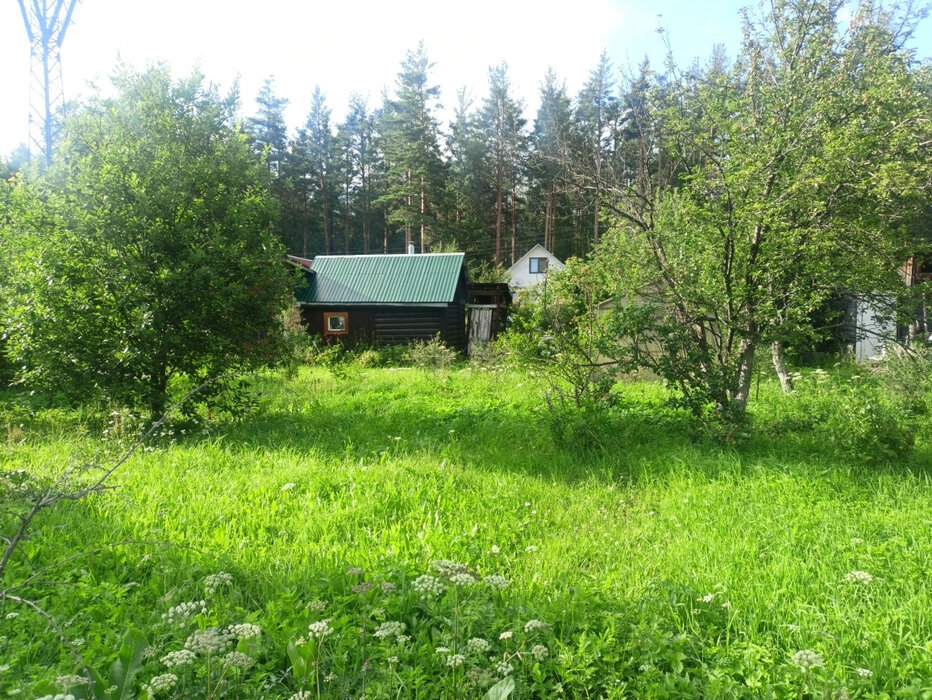 п. Решеты, снт. Мирный (городской округ Первоуральск) - фото сада (3)