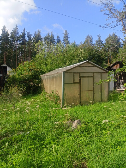 п. Решеты, снт. Мирный (городской округ Первоуральск) - фото сада (5)