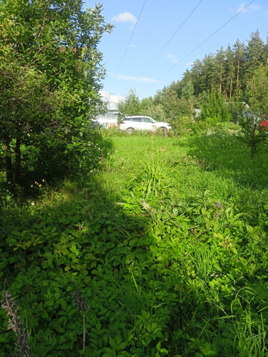 п. Решеты, снт. Мирный (городской округ Первоуральск) - фото сада (6)