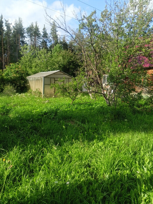 п. Решеты, снт. Мирный (городской округ Первоуральск) - фото сада (7)