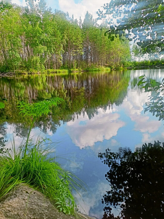 п. Решеты, снт. Мирный (городской округ Первоуральск) - фото сада (8)