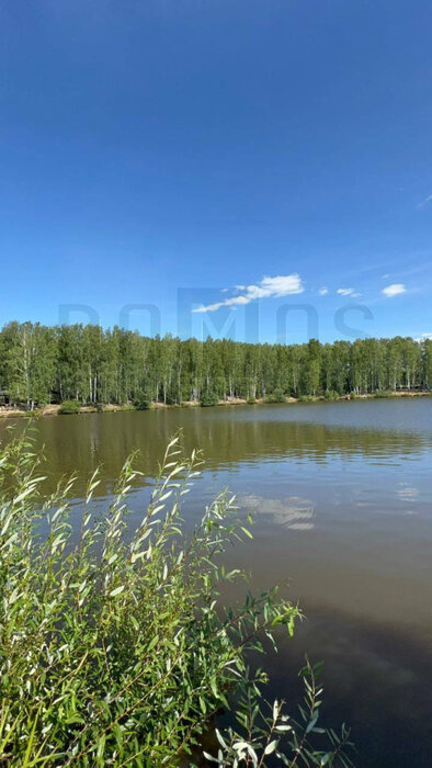 к.п. Шабровские дачи (городской округ Екатеринбург) - фото земельного участка (1)