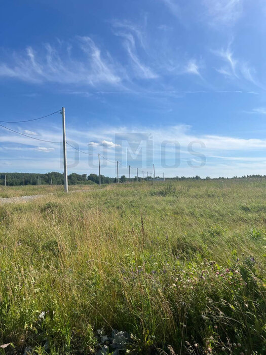 к.п. Шабровские дачи (городской округ Екатеринбург) - фото земельного участка (3)