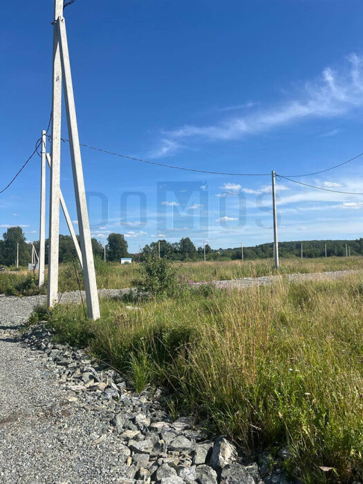 к.п. Шабровские дачи (городской округ Екатеринбург) - фото земельного участка (4)