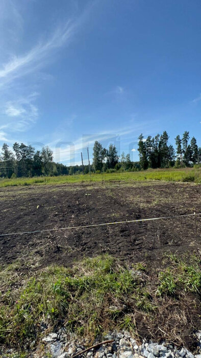 к.п. Шабровские дачи (городской округ Екатеринбург) - фото земельного участка (6)
