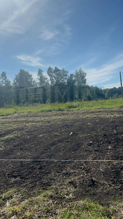 к.п. Шабровские дачи (городской округ Екатеринбург) - фото земельного участка (7)