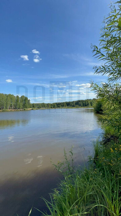 к.п. Шабровские дачи (городской округ Екатеринбург) - фото земельного участка (8)