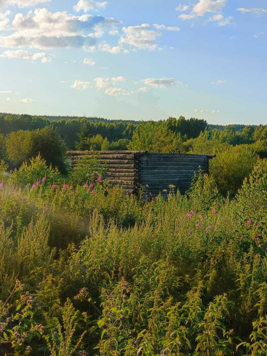 c. Битимка, ул. Паром, 32 (городской округ Первоуральск) - фото земельного участка (6)