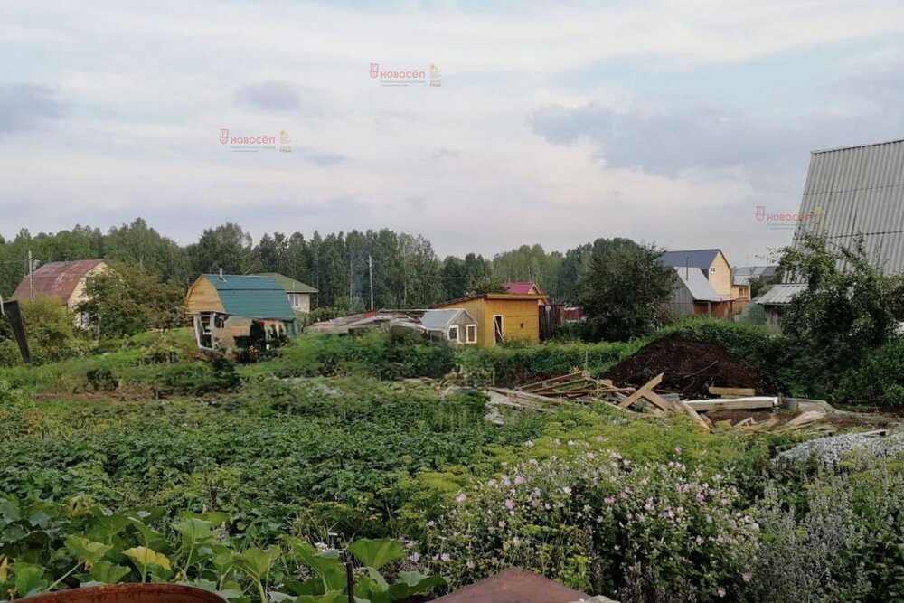 п. Соколовка, СНТ Кедр (городской округ Верхняя Пышма) - фото сада (2)
