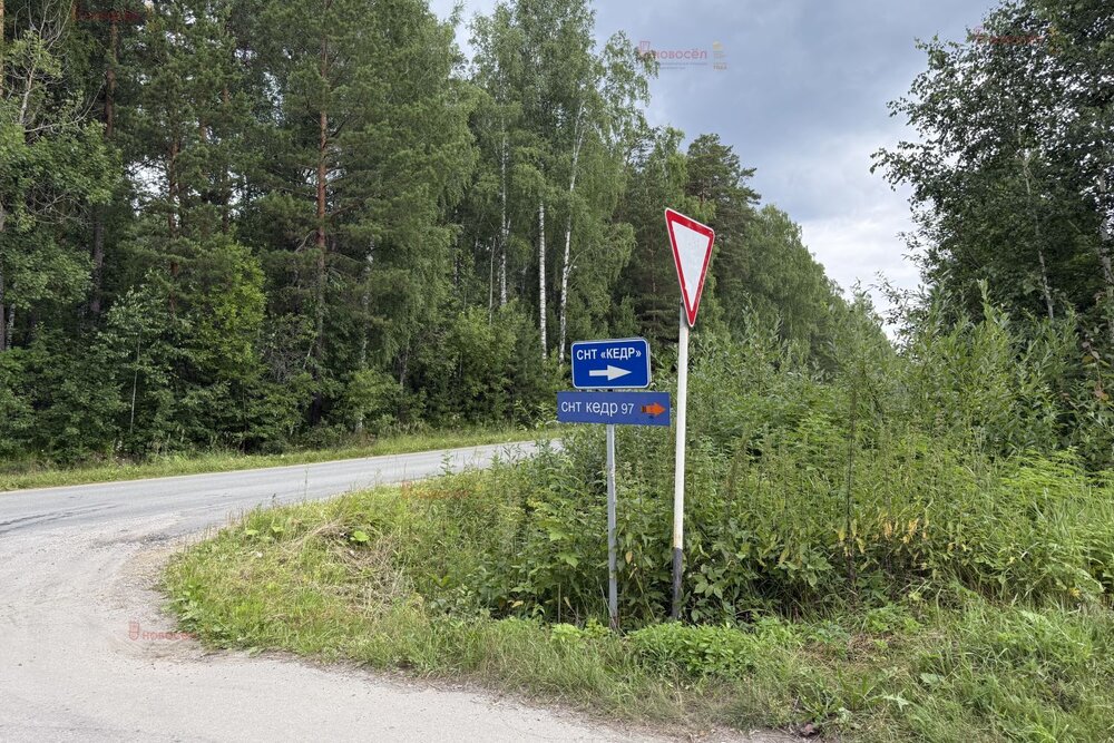 п. Соколовка, СНТ Кедр (городской округ Верхняя Пышма) - фото сада (4)