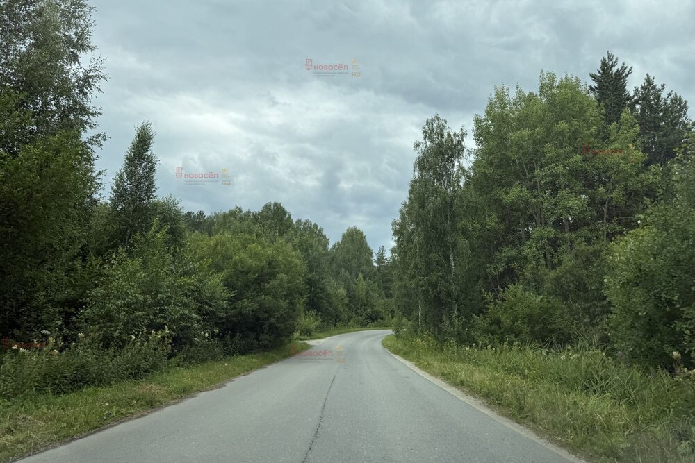 п. Соколовка, СНТ Кедр (городской округ Верхняя Пышма) - фото сада (6)