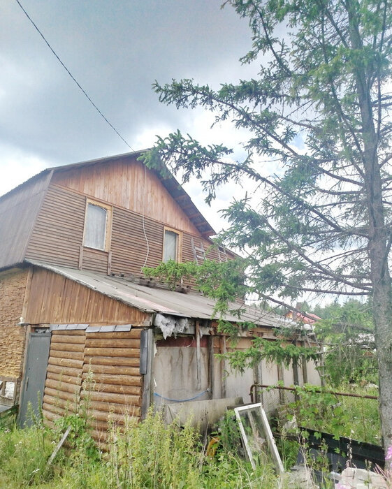 п. Половинный, СНТ Домостроитель, уч. 77 (городской округ Верхняя Пышма) - фото сада (4)