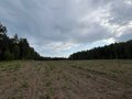 Продажа земельного участка: п. Соколовка (городской округ Верхняя Пышма) - Фото 4