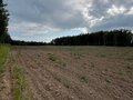 Продажа земельного участка: п. Соколовка (городской округ Верхняя Пышма) - Фото 6