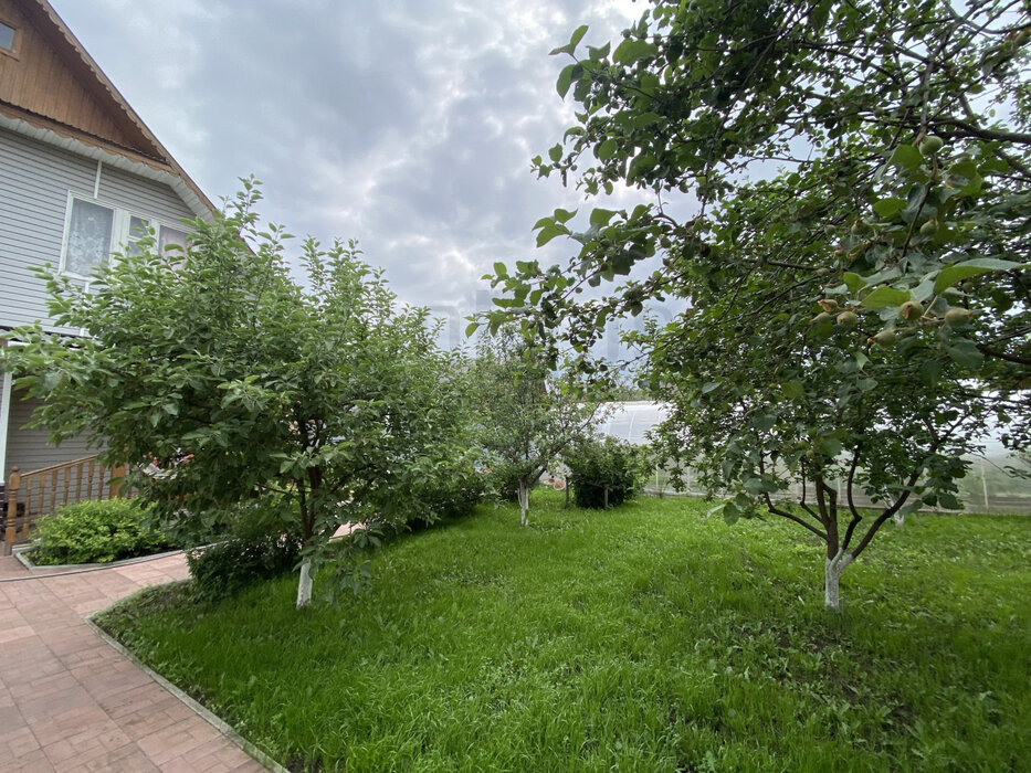 п. Залесье, СНТ Ромашка -, уч. 64 (городской округ Верхняя Пышма) - фото сада (2)