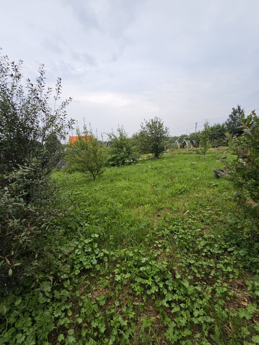 г. Ревда, СОНТ 7, ул. 3-я (городской округ Ревда) - фото сада (3)